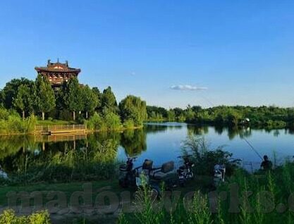 麻豆app软件-麻豆APP软件，塑造全新娱乐形态的探索之旅
